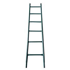 Access Ladder 5′